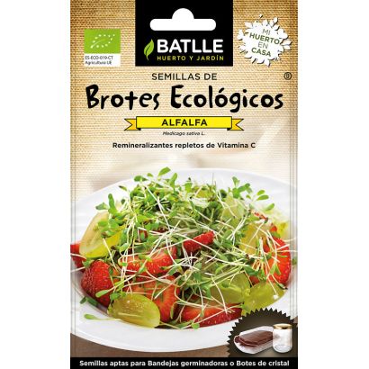 Brotes alfalfa - eco